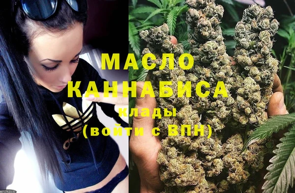 гидра Няндома