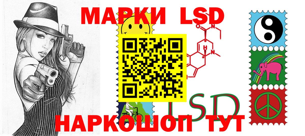 ГАШ Великий Новгород
