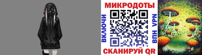 Галлюциногенные грибы Cubensis  Великий Новгород 