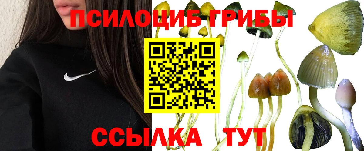 Галлюциногенные грибы мицелий Великий Новгород