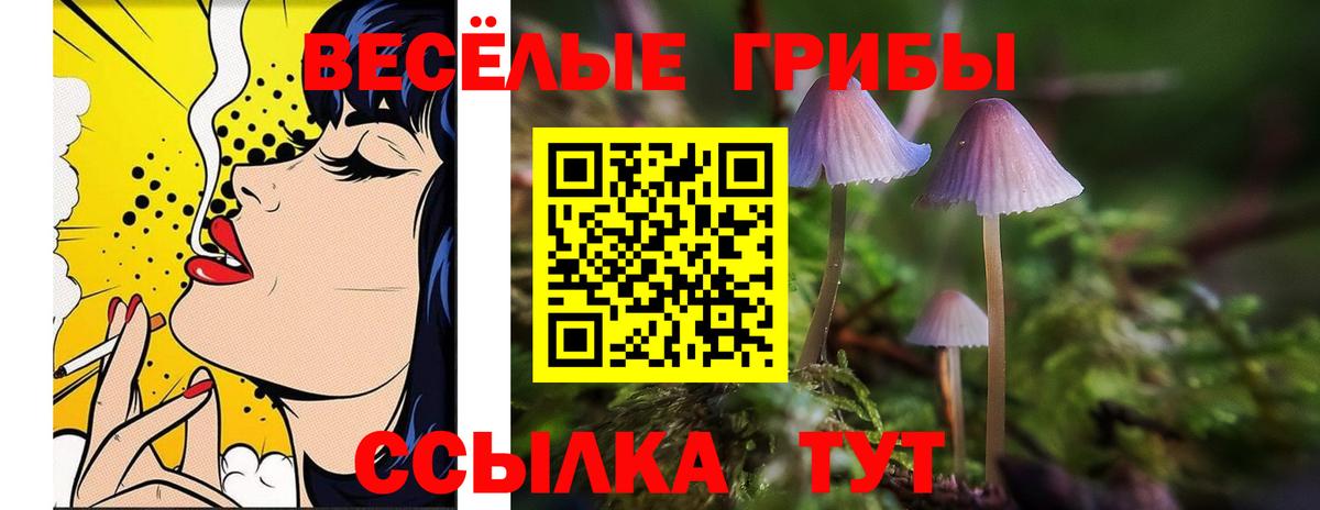 продажа наркотиков  Великий Новгород  Галлюциногенные грибы Psilocybine cubensis 