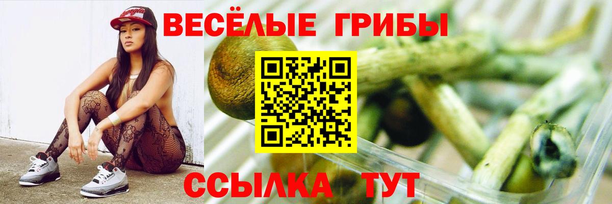 Великий Новгород  Псилоцибиновые грибы мицелий  Вход с VPN 