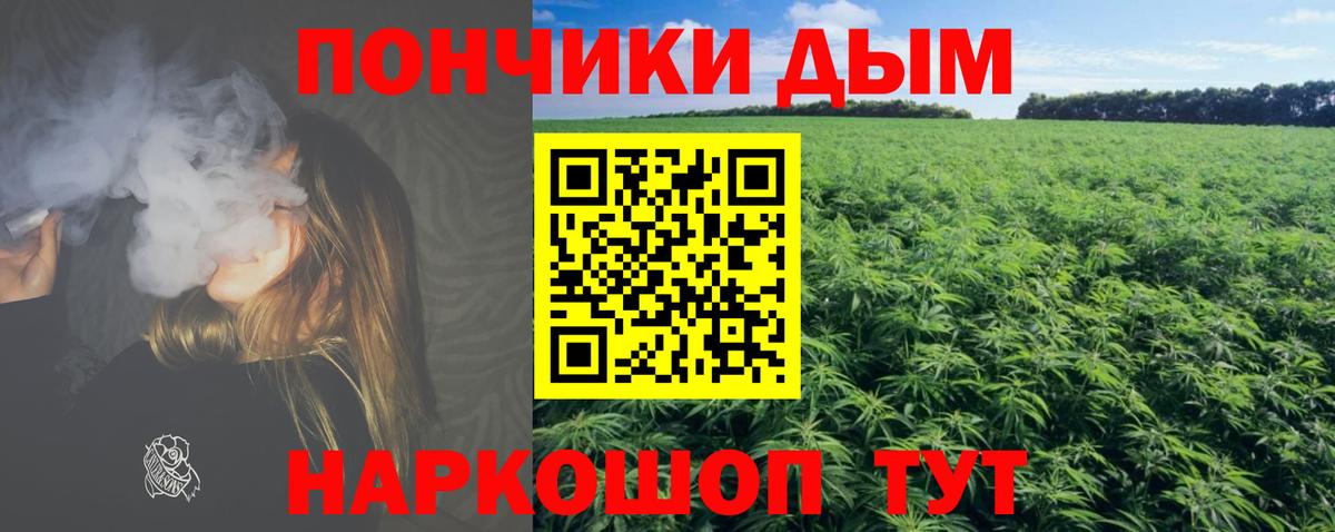 Каннабис план Великий Новгород